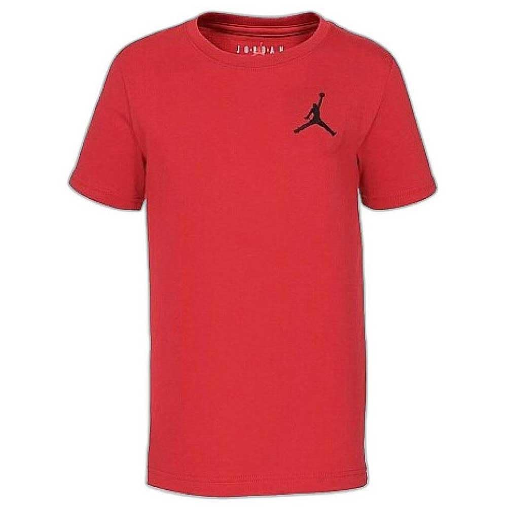 Boy's Jumpman Air Embroidered Tee (Toddler/Little Kids)