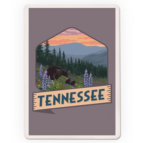 Lantern Press Naipes Póker Tennessee y Flores, 52 Cartas miniatura 3