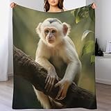 Photo Gallery llxxhh coperta monkey per divano in flannel letto pile morbida decorazioni casa poltrona copertas per ogni stagione per letto ufficio, 100×130cm Photo Gallery llxxhh coperta monkey per divano in flannel letto pile morbida decorazioni casa poltrona copertas per ogni stagione per letto ufficio, 100×130cm