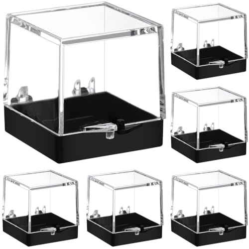 Ciieeo 6pièces Boîte À Spécimen Minéral Transparente Vitrine De Collection Pour Roches Et Minéraux Caisse De Rangement Et Facile À Nettoyer