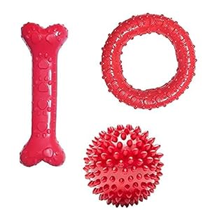 Chew Toys for Dog Rubber Chew Toy Combo Paw Print Bone Rubber Chew Ring Spike Ball, Playing Chewing Interactive Dog Toys 3 in 1 Combo Pack