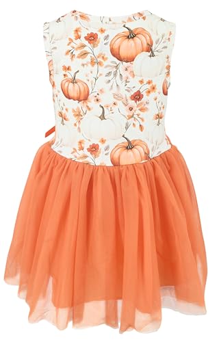 Image of Girls Sleeveless Tulle Toddler Tutu Dress for Girls
