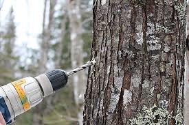 Old Cobblers Farm™ Premium Maple Syrup Tapping Kit (36" Sap Line & Tap 10 Per Kit)