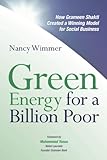 Green Energy for a Billion Poor: How Grameen Shakti Created a Winning Model for Social Business (English Edition)