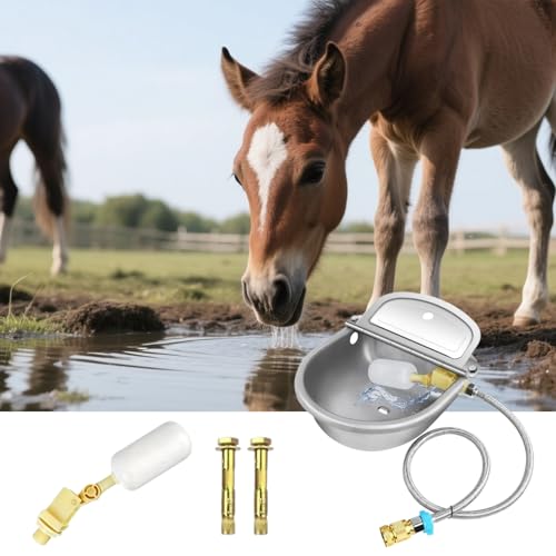 Abreuvoir automatique pour bétail et bol à eau inox élevage