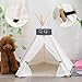 Pet Teepee Dog & Puppy Cat Tents Tipi Bed Portable Houses with Thick Cushion for Pets Up to 15lbs