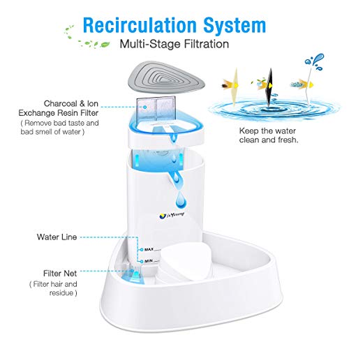 isyoung cat fountain