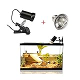3.✔ Ampliamente el uso: uso de una variedad de formas! Perfecto para reptiles, anfibios y pequeños animales como tortugas, lagartos, serpientes, arañas, conejos, erizos, aves, hámsters, gallineros, etc. Todos disfrutarán del calor sin la luz.
