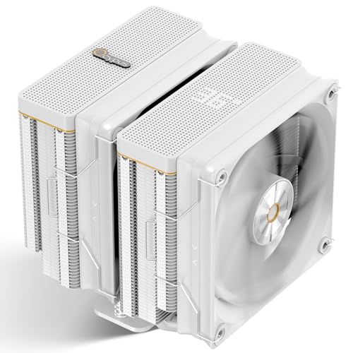 Ocypus Iota A62