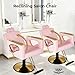 MIMWOW Salon Chair for Hair Stylist, Hair Barber Chair with Heavy Duty Hydraulic Pump, Reclining Salon Chair Tattoo Braiding Beauty Spa Equipment, Cool Light Pink
