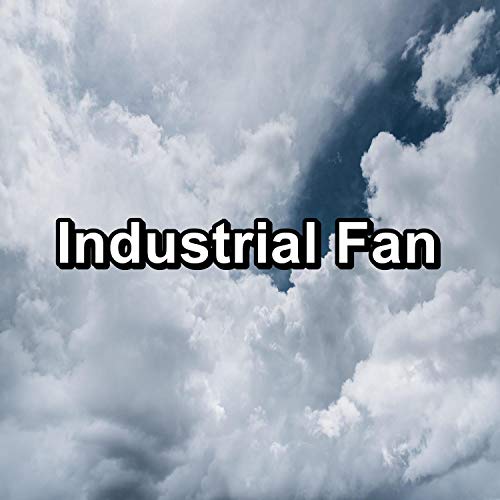 Industrial Fan White Noise Therapy & Study Alpha Waves