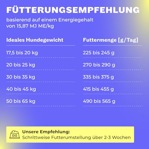 HEY HOLY Premium Trockenfutter für Retriever 100% getreidefrei | 7kg hypoallergenes Hundefutter für ausgewachsene Retriever mit Lamm | Hochverträglich aus natürlichen Zutaten