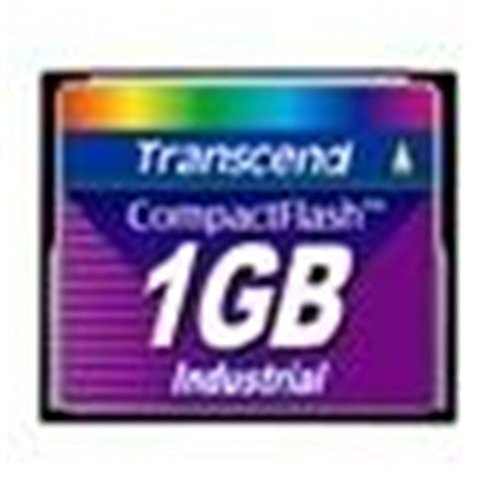 トランセンド TS1GCF100I (1GB)