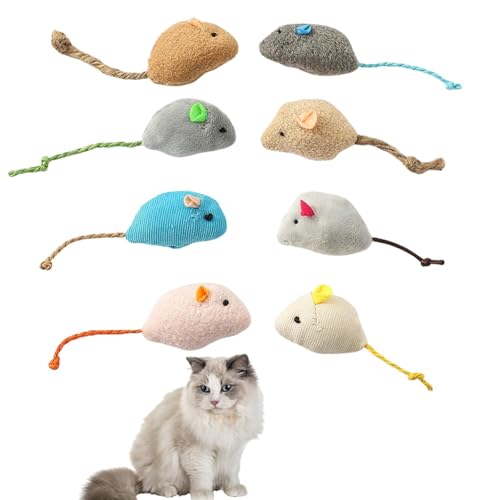 Lifetips Oh[ Lp lY~ʂ 8Zbg qL L V XgXU ^s ӂӂf L炵  ybgObY