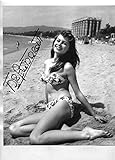 BRIGITTE BARDOT sexy young bikini signed 8x10' photo/BAS Beckett COA