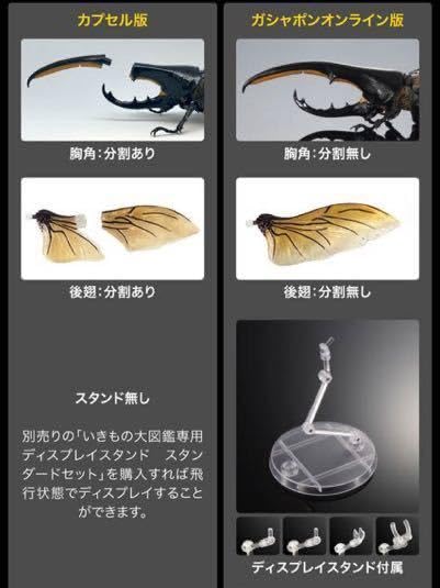 Amazon.co.jp: いきもの大図鑑アドバンス ヘラクレスオオカブト