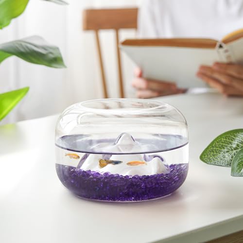 Image of T4U Fish Tank Gravel 2 LB, Tumbled Small Rocks for Aquarium, Glass Beads for Vases, Succulent Rocks for Plants, Aquarium Gravel Decorative Pebbles for Terrarium Crafts Vase Filler, Purple