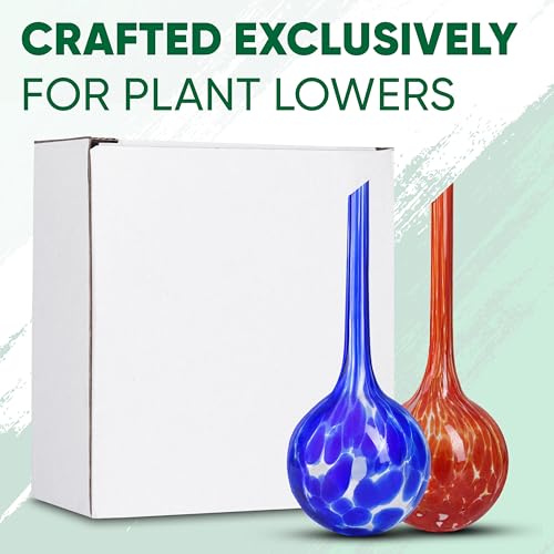 image for Mission Gallery Plant Watering Globes Set of 2 - Small Self Watering G