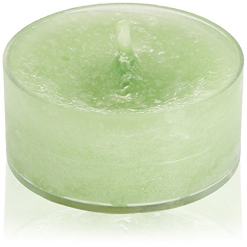 YANKEE CANDLE ヤンキーキャンドル クリアカップティーライトキャンドル12個入り ワイルドミント