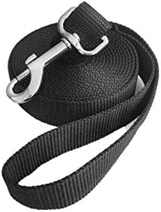 Long leash for fetch Outlet