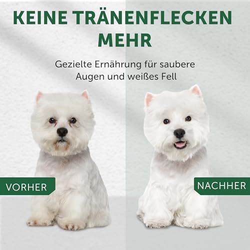 Nature's Protection Superior Care Trockenfutter für Hunde, Weißfisch 1,5 kg