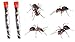 50 Live Red Harvester Ants for Ant Habitats, Bundle with Ant Book - Educational & Interactive Ant Habitat Experience