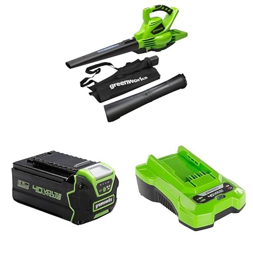 Greenworks 40V Aspirateur Souffleur sans Fil de Feuilles à Batterie avec Moteur sans Balais, 280 km/h, 9,63 m³/Min, Sac pour Mulching de 45L, Deux Batteries 5Ah et Chargeur, Garantie 3 Ans