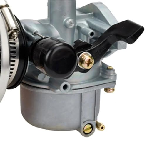 Carburador PZ19 de 35 mm con filtro para motos Taotao cross de 110cc y 125cc