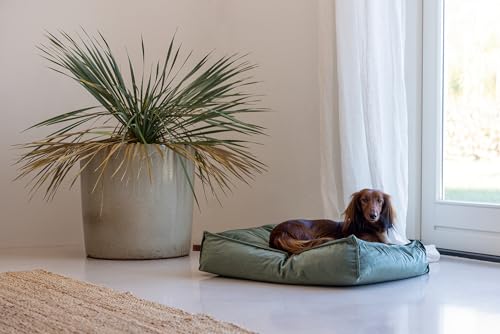 Designed by Lotte Nalino, Hundekissen, Samt, Grün, 70x55x15 cm