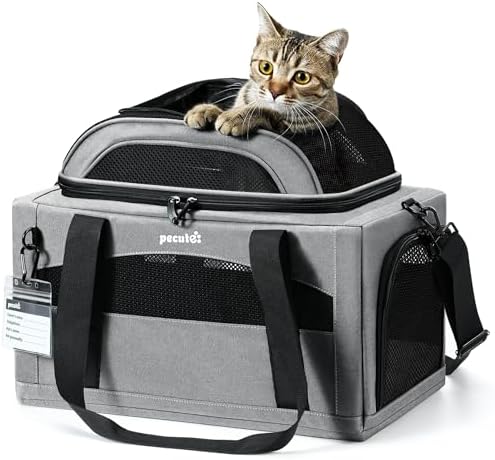 Pecute Transportin Gato Grande y Perro Avion Expandible - Gris Claro | Extensión Superior • Marco Estable • Homologado Avión • Para Gatos Grandes & Perros