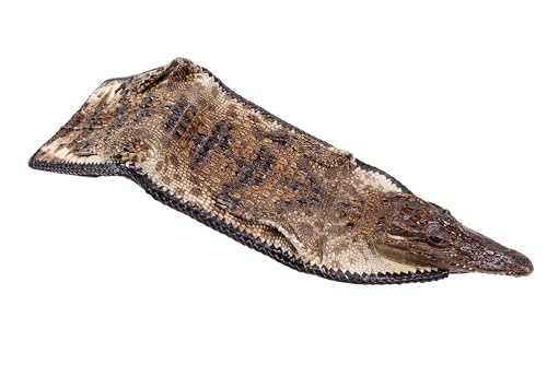 Genuine Crocodile Alligator with Head Skin Leather Bifold Handmade Western Cowboy Wallet (Natural, [C5] - 6 Card Slots + 2 Compartments for Bills)4