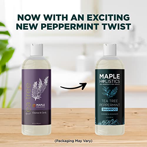 Tea Tree Shampoo Sulfate Free - Clarifying Shampoo For Build Up And Flakes With Peppermint Oil And Tea Tree Essential Oil For Dry Scalp Treatment - Deep Cleansing Tea Tree Mint Shampoo For Oily Hair #TOP2