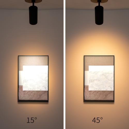 Image of mirrea 5-Color Zoomable Indoor Spot Lights,LED Ceiling Spotlight Lighting Fixtures for Room and Hallway,Accent Light for Gallery,Black Directional Lamp for Home,2700-5000K,15-45,CRI90+,Pack of 1