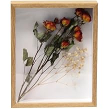 Floating Picture Frames Wooden Glass Frame Photo Flower Specimen Shadow Box