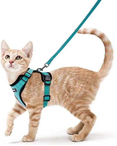 rabbitgoo Cat Harness and Leash for Walking, Escape Proof Soft Adjustable Vest Harnesses for Cats, Easy Control Breathable Reflective Strips Jacket, Emerald, S