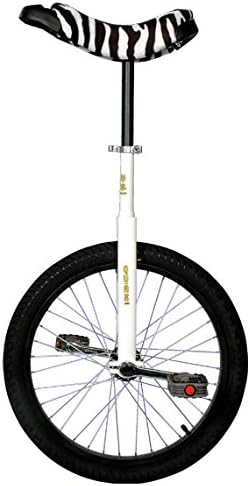 Unicycle Luxury 20 Inch Wheels in Blue Blue