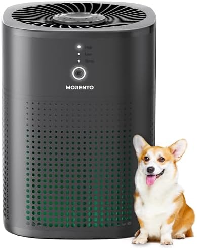 Amazon.com: MORENTO Air Purifiers for Bedroom, Room Air Purifier HEPA ...