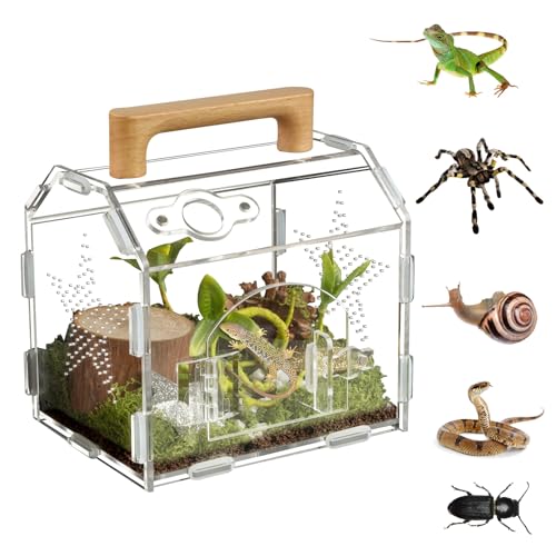 Acrylic Jumping Spider Habitat, Reptile Terrarium Easy...