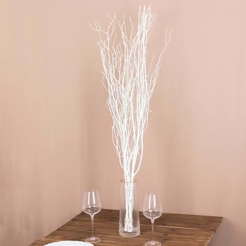 Efavormart 6 Pack White Decorative Birch Tree Branches, Extra Lon...