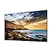 SAMSUNG Business QE65T 65-inch 4K UHD 3840x2160 LED Commercial Signage Display, HDMI, USB, Speakers, 3-Yr Wrnty, 16/7 Operation, 300 nit (LH65QETEPGCXGO), Black