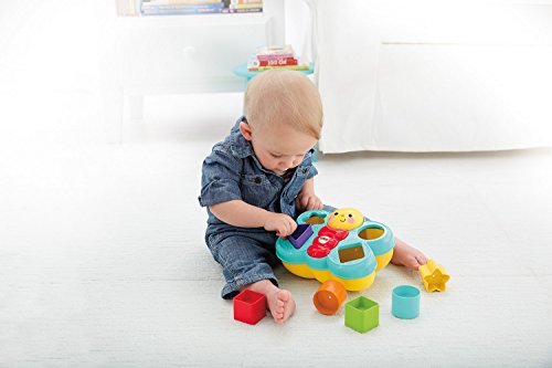Fisher-Price CDC22 - Sortierspaß-Schmetterling, Verschiedene Formen sortieren, Babyspielzeug ab 6 Monaten – Bild 7