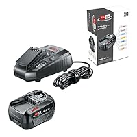 Bosch Akku und Ladegerät