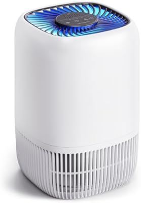 VOOPNU Compact H13 HEPA Air Purifier 1076 Ft²