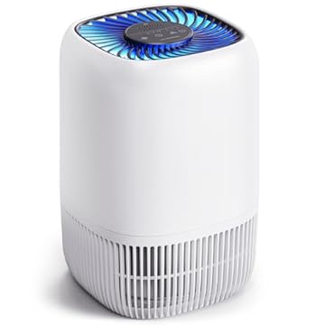 best cheap hepa air purifier