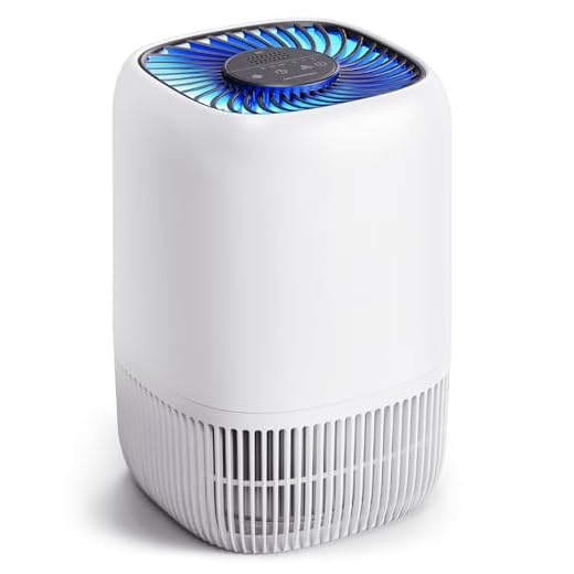 Purificadores de ar para casa com filtro HEPA verdadeiro H13 de até 3 metros quadrados para pelos de animais de estimação, odores, pólen, fumaça, filtro de ar compacto com 3 velocidades, temporizador