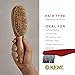 Kent LC4 Finest Detangler Brush, Cherrywood Oval Hairbrush with Boar Bristles for Medium to Thick Hair of All Lengths, Salon-Style Straightening Tool