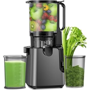 Juicer Machines with 5.4″ Large Feed Chute, 400W Cold Press Juicer for Whole Vegetables and Fruits, Slow Masticating juicer Easy to Clean Juice Extractor Machine High Juice Yield(Titanium Gray)
