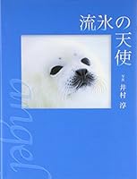 RyuÌ„hyoÌ„ no tenshi 4394901952 Book Cover