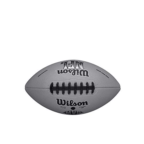 Image of WILSON NFL Recreational Footballs