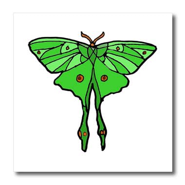 3dRose Flying Luna Moth Garden Heat Transfers ht-383182-2